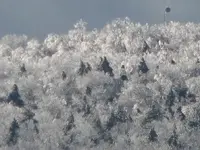 ice christmas moon2.webp