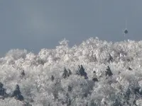 ice christmas moon 3.webp