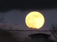 ice christmas moon 007.webp