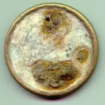 Rossette Reverse.webp