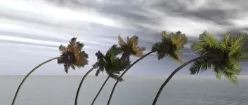 hurricane.webp