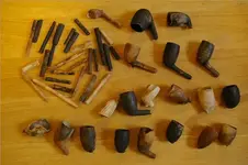 IMGP2810.webp