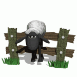 sheep_stuck_on_fence_lg_nwm.gif
