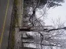 becker8.webp