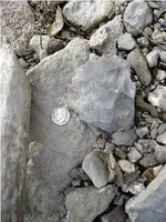 In Situ-Cach Blade2.webp