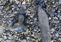 Pestle in situ.webp