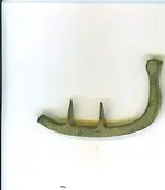 buckle 2.webp