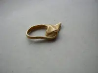 ring 1.webp