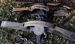bear trap.webp