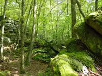 DSC00072.webp