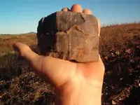 fossil hunt 003.webp
