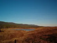 fossil hunt 005.webp