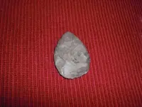 CIMG8105.webp