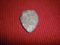 CIMG8108.webp