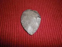 CIMG8109.webp