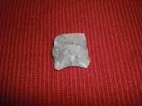 CIMG8111.webp