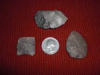 CIMG8117.webp