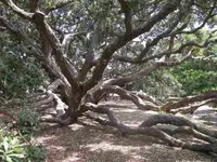 DSCN1337.webp