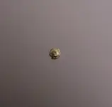 goldb.webp