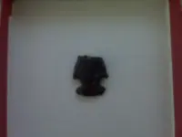 IMG00095.webp