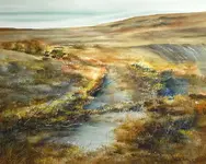 watercolor.webp