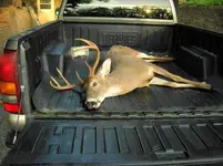 8 point 11-28-2008.webp