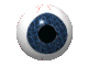 index.gif
