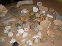 2008rocks 021.webp