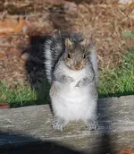 DSC_0049.webp
