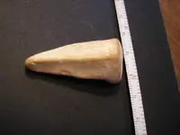 2008rocks 005.webp