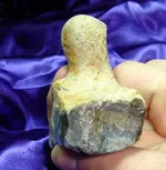 Holding Pestle thickness.webp