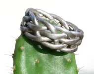 Silver Braid Ring sm.webp