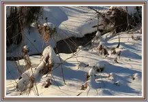 IMG_0121 creek snow.webp