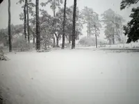 Snow1.webp Snow1.webp