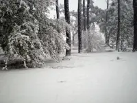 Snow8.webp Snow8.webp
