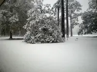 Snow7.webp