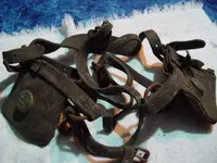 Horse halter 008.webp