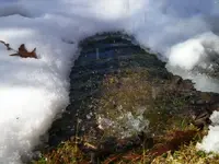Snow12.webp Snow12.webp