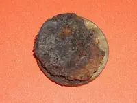 ratnickel (2).webp