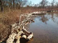 along the river 011.webp