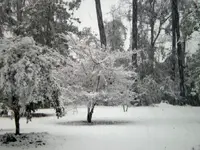 Snow5.webp