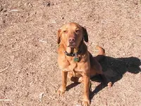 Buster.webp