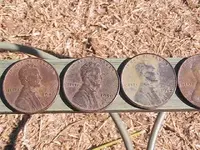 Oldest Florida pennies1.webp