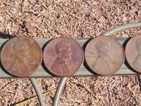 Oldest pennies2.JPG