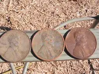 oldest pennies3.webp