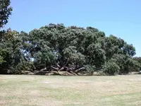 DSCN1340.webp