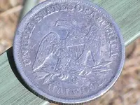 Seated half bk.webp