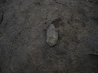 DSCN0226.webp