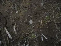 DSCN0228.webp
