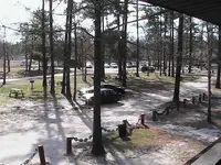 006.webp